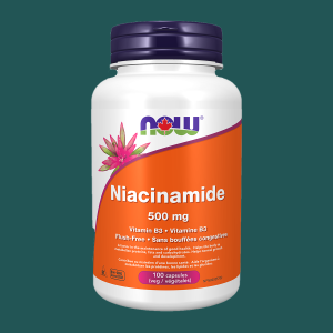 NOW Niacinamide 500mg 100 Veggie Caps